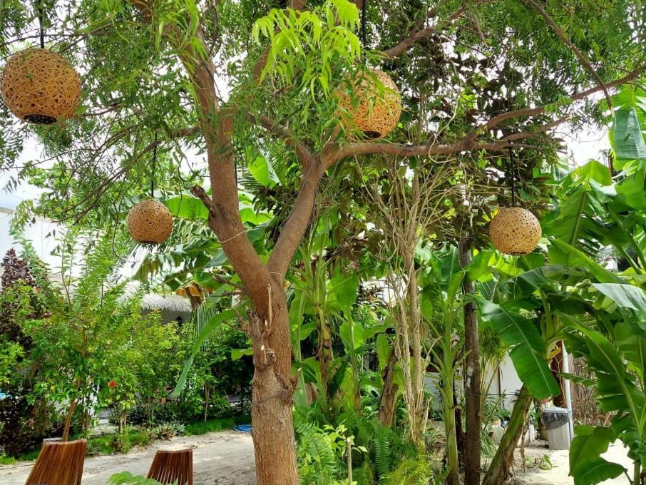 Coco Villa Тодду Екстер'єр фото